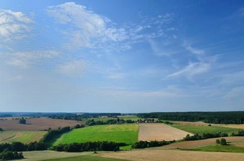 Summer landscape 库存照片