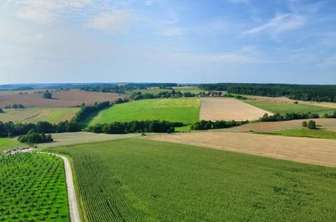 Summer landscape 스톡 사진