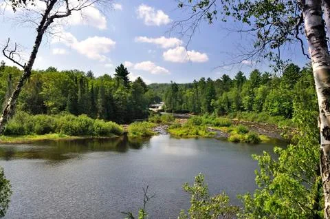 Summer landscape Stock Photos