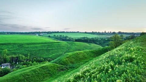 Summer landscape Stock Photos