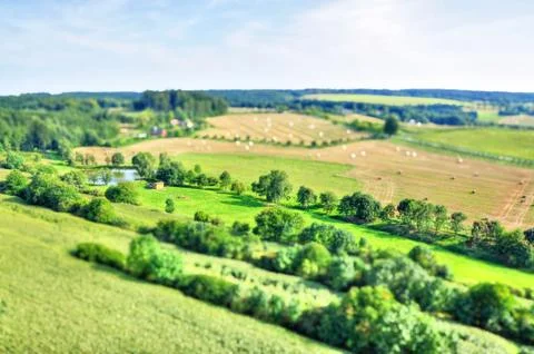 Summer landscape 库存照片