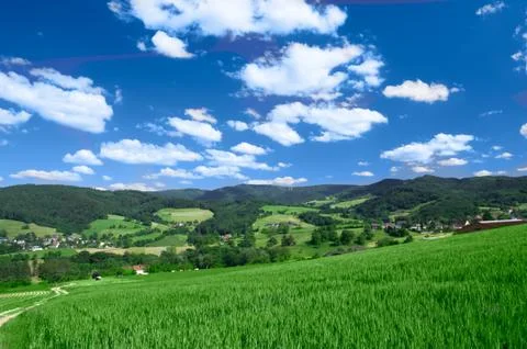 Summer landscape Stock Photos
