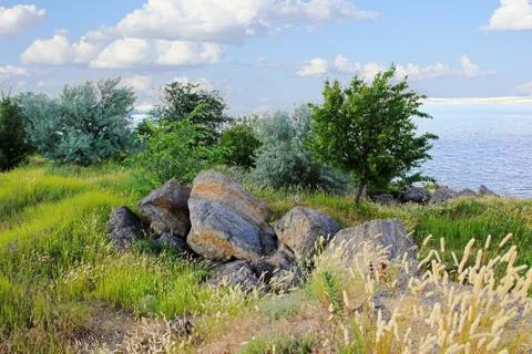 Summer landscape Stock Photos
