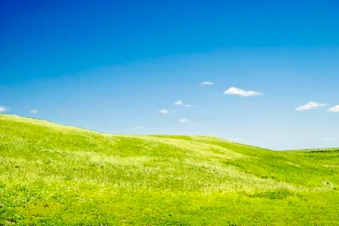 Summer landscape Stock Photos