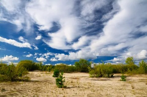 Summer landscape Stock Photos