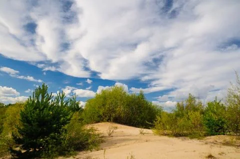 Summer landscape Stock Photos