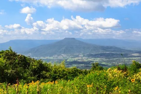 Summer landscape . Stock Photos