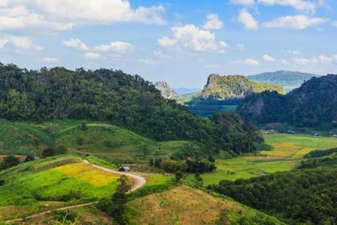 Summer landscape . Stock Photos