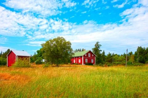 Summer landscape Stock Photos