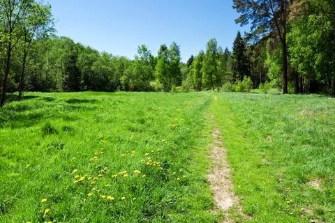 Summer landscape Stock Photos