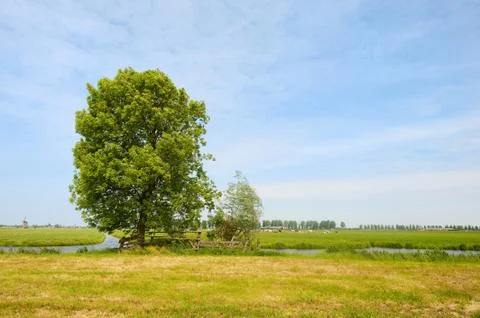Summer landscape Stock Photos