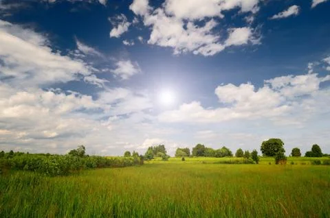 Summer landscape Stock Photos