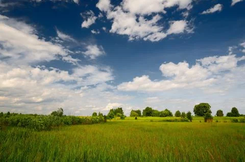 Summer landscape Stock Photos