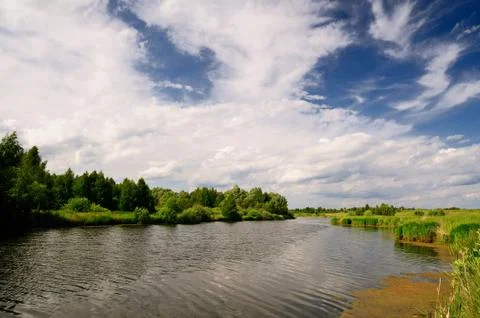 Summer landscape Stock Photos