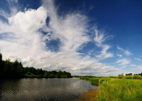Summer landscape Stock Photos