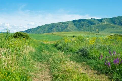 Summer landscape Stock Photos