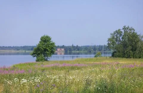 Summer landscape Stock Photos