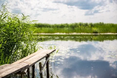 Summer landscape Stock Photos