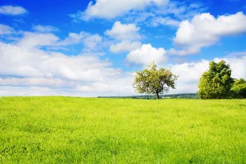 Summer landscape Stock Photos