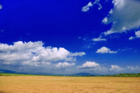 Summer landscape Stock Photos