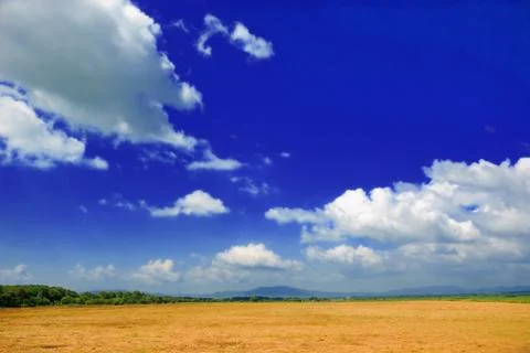 Summer landscape Stock Photos