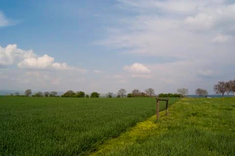 Summer Landscape Stock Photos