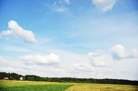 Summer  landscape Stock Photos