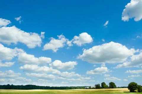 Summer landscape Stock Photos