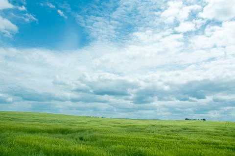 Summer landscape Stock Photos