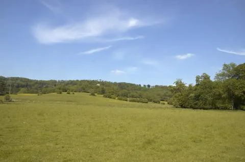 Summer landscape Stock Photos