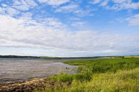 Summer landscape Stock Photos