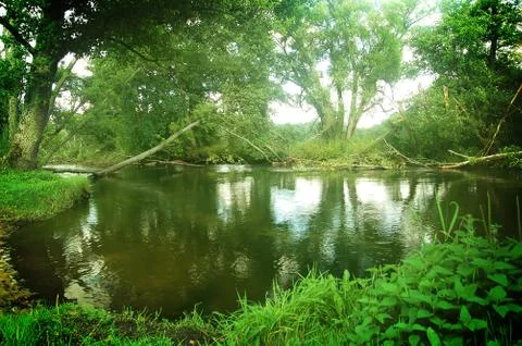 Summer landscape Stock-Fotos