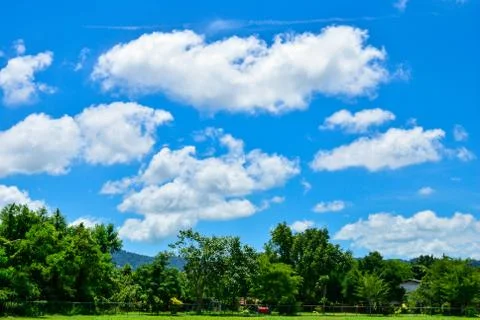Summer landscape Stock Photos
