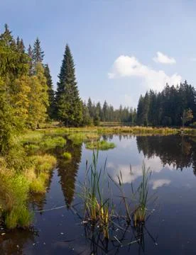 Summer landscape Stock Photos