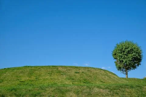 Summer Landscape Stock Photos