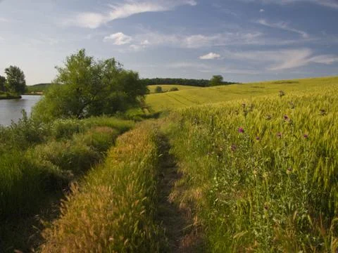 Summer Landscape Stock Photos