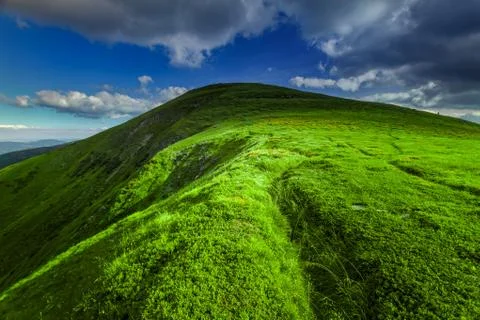 Summer landscape Fotos Stock