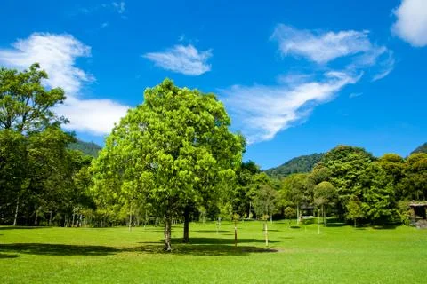 Summer landscape Stock Photos