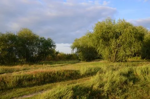 Summer landscape Stock-Fotos