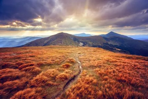 Summer landscape Stock Photos