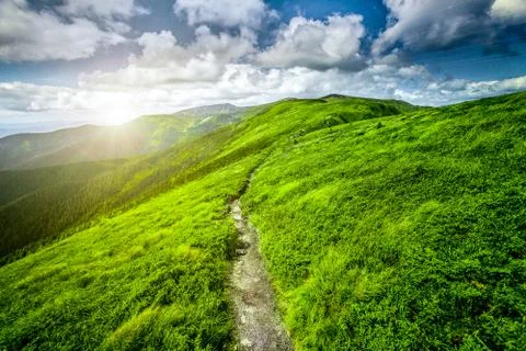 Summer landscape Фото