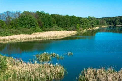 Summer landscape. Stock Photos