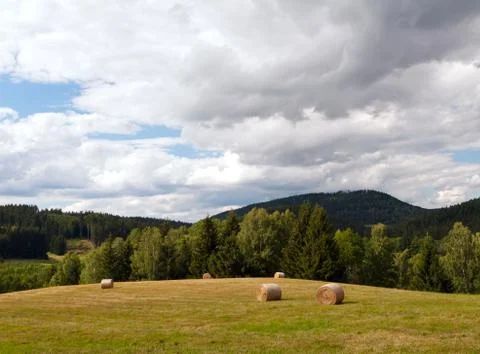 Summer landscape Stock Photos