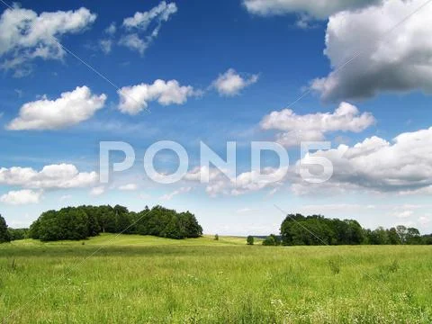 Summer landscape Stock Photos