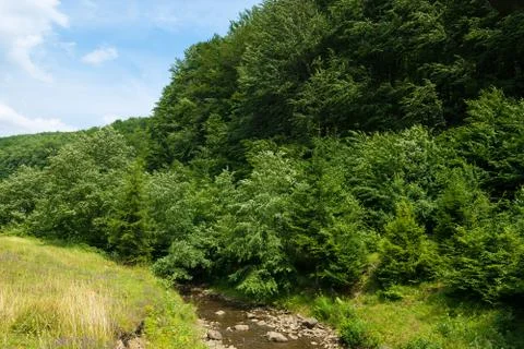 Summer landscape 写真素材