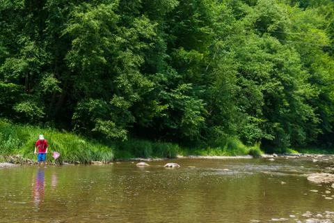 Summer landscape 写真素材