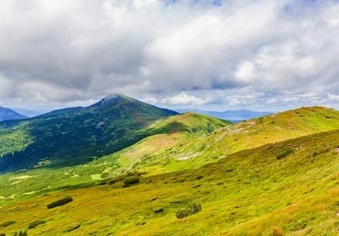 Summer landscape Stock Photos