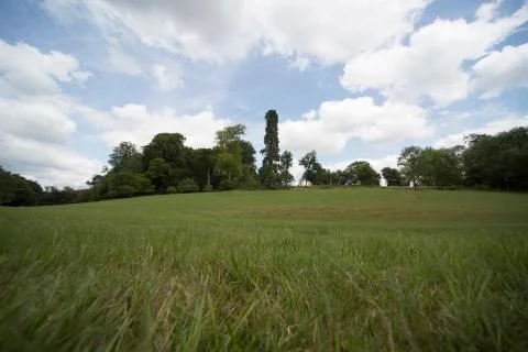 Summer Landscape Stock Photos