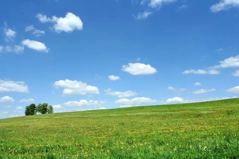 Summer landscape 스톡 사진
