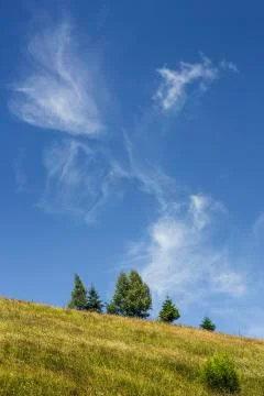 Summer landscape Stock-Fotos